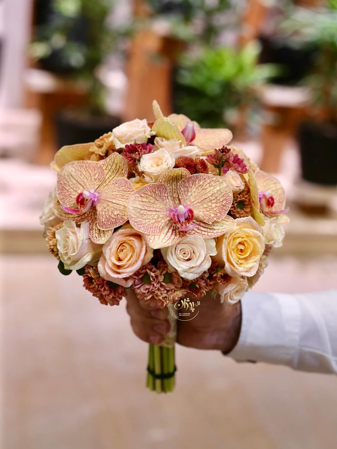 vendor image