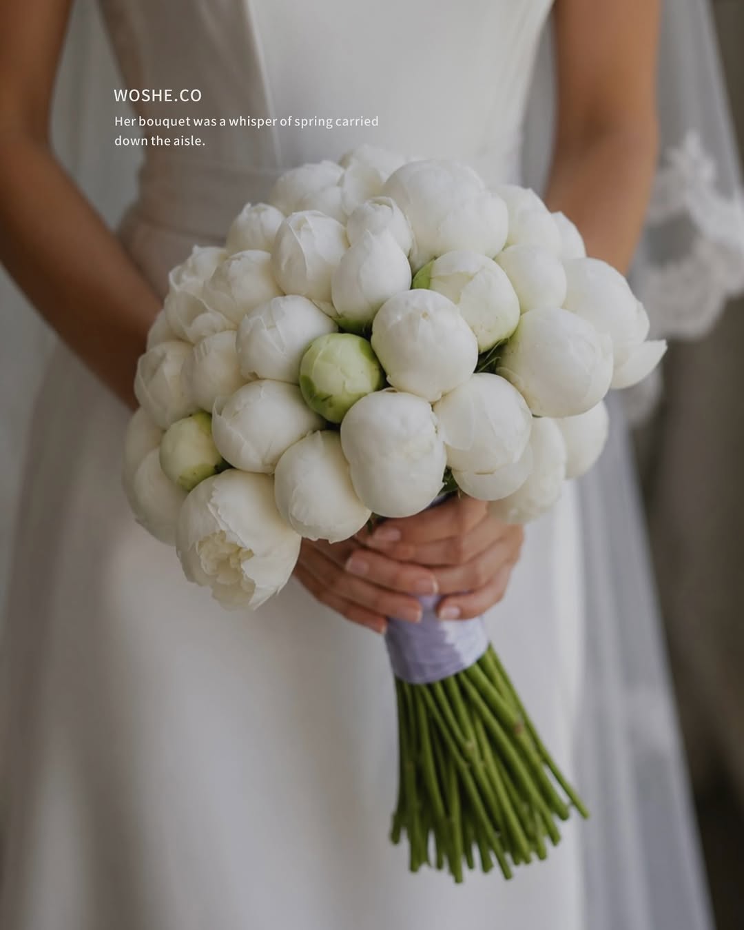 vendor image